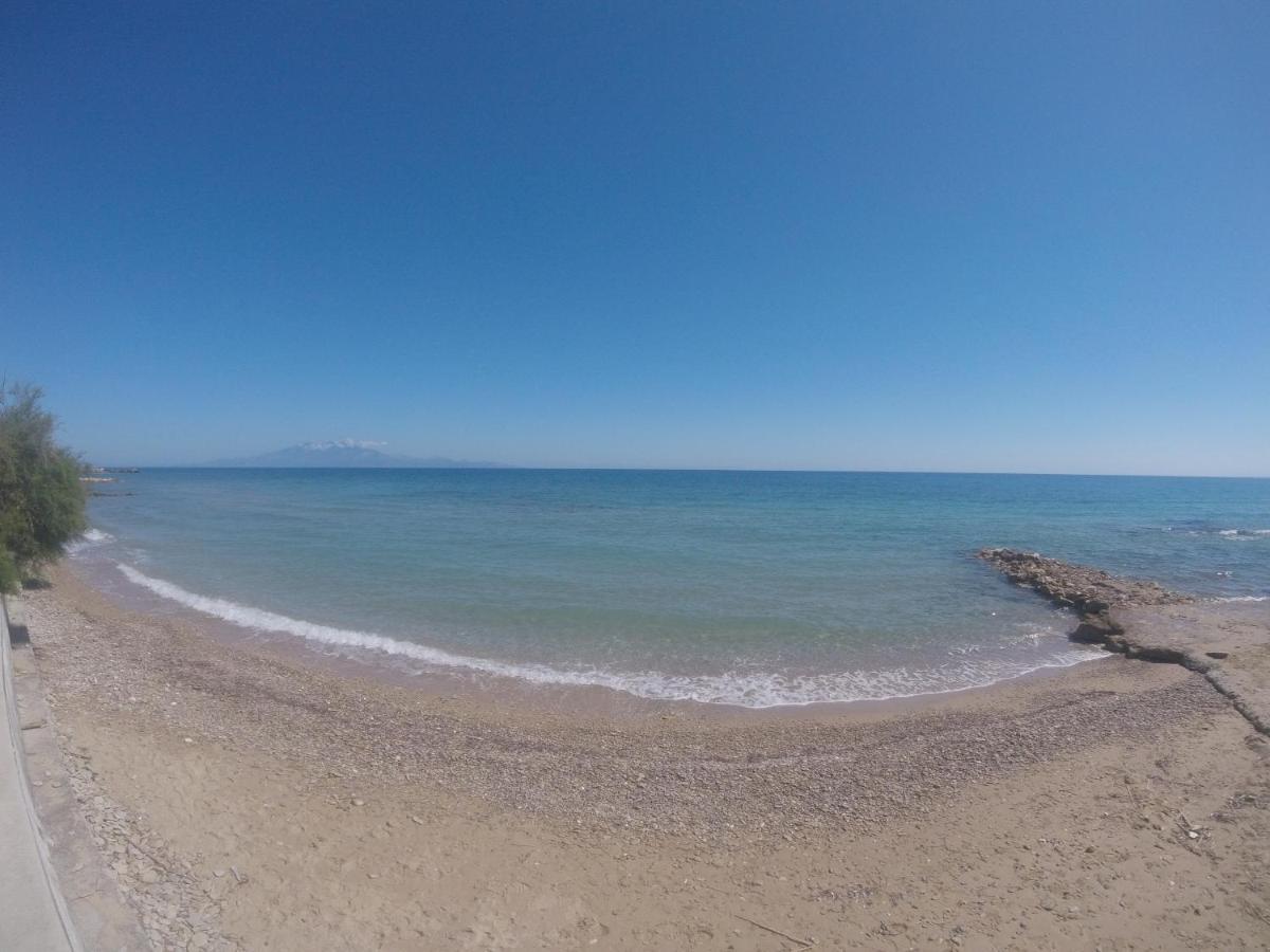 Kimiro Drosia Zante Bed & Breakfast Psarou  Exterior photo