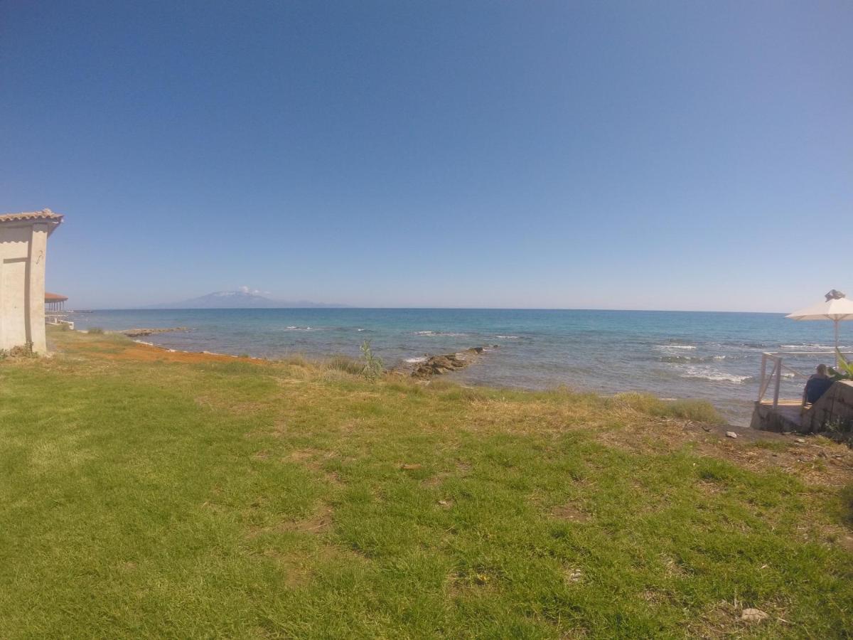Kimiro Drosia Zante Bed & Breakfast Psarou  Exterior photo