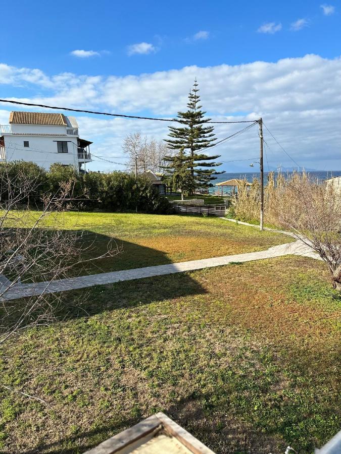 Kimiro Drosia Zante Bed & Breakfast Psarou  Exterior photo